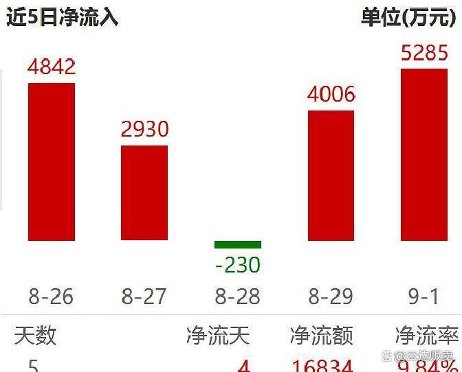 上市板块定位风险(上市各种板块什么意思?)新北市
